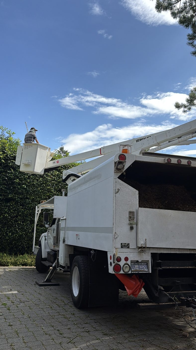 Tree service equipment and work truck in Richmond