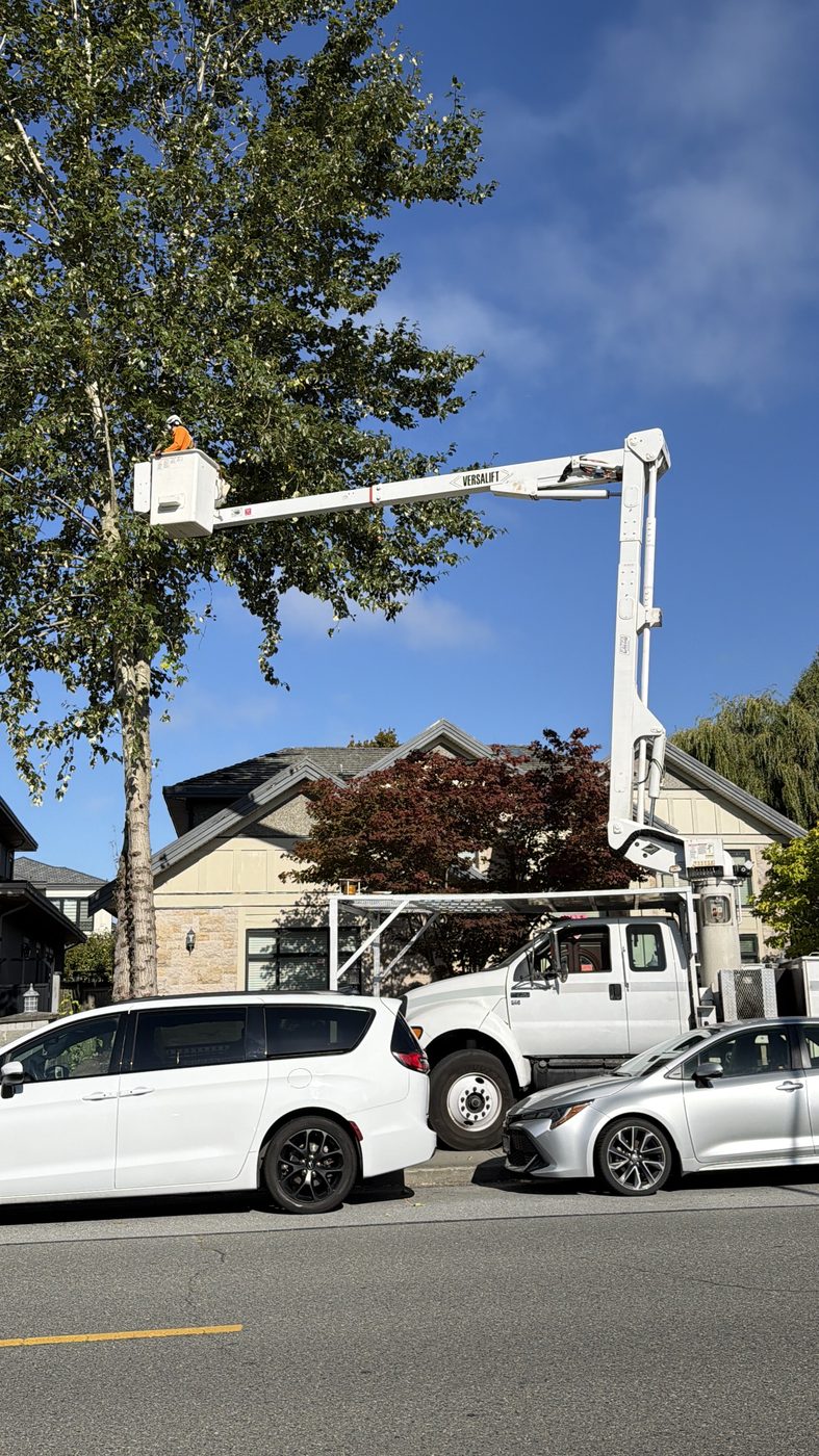 Emergency tree work with bucket truck in Richmond